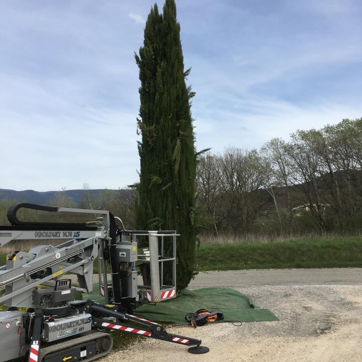 Taille de cyprès avec nacelle araignée