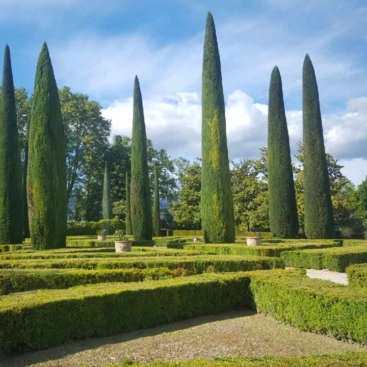 Taille de cyprès de Provence dans un parc paysager