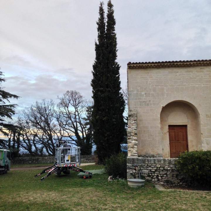 Taille d'un cyprès en Luberon