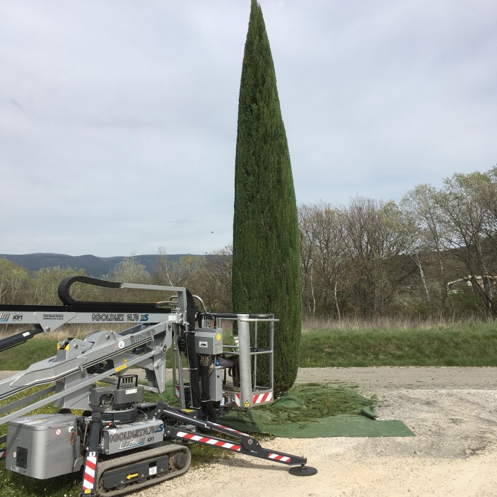 Taille de cyprès avec nacelle araignée