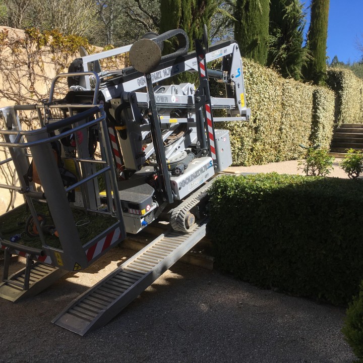 Taille de cyprès de Provence dans un parc paysager